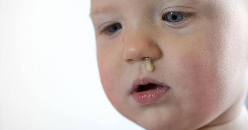 Pinterest/livescience